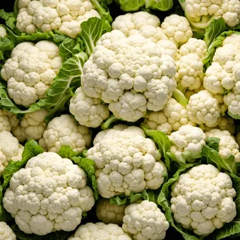 Blumenkohl
