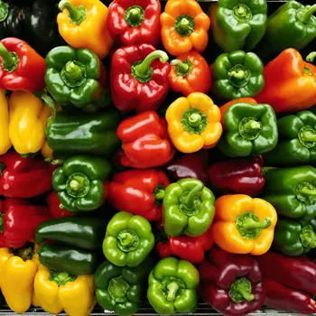 Paprika