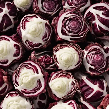 Radicchio
