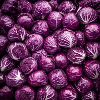 Rotkohl