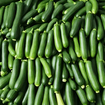 Zucchini